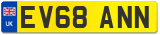 EV68 ANN