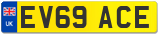 EV69 ACE