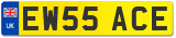 EW55 ACE