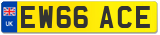 EW66 ACE