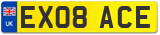 EX08 ACE