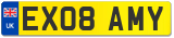 EX08 AMY