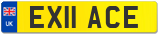 EX11 ACE