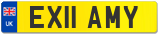 EX11 AMY