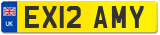 EX12 AMY