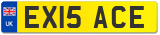 EX15 ACE