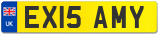 EX15 AMY