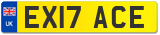 EX17 ACE