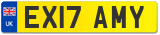 EX17 AMY