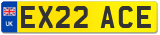 EX22 ACE