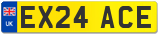 EX24 ACE
