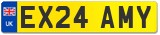 EX24 AMY