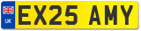 EX25 AMY