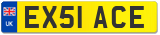 EX51 ACE