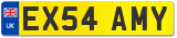 EX54 AMY