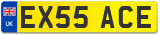 EX55 ACE