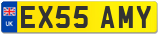 EX55 AMY