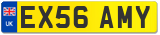 EX56 AMY