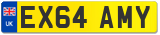EX64 AMY