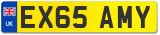 EX65 AMY