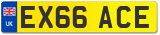 EX66 ACE