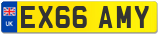 EX66 AMY