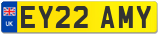 EY22 AMY