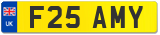 F25 AMY