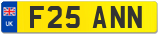 F25 ANN