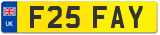 F25 FAY