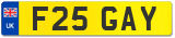 F25 GAY