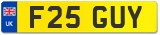 F25 GUY