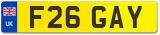 F26 GAY