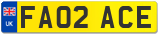FA02 ACE