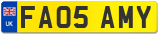 FA05 AMY