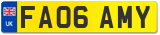 FA06 AMY