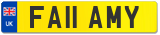 FA11 AMY