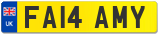 FA14 AMY