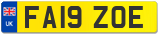 FA19 ZOE