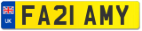 FA21 AMY