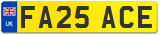 FA25 ACE