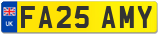 FA25 AMY