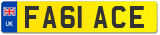 FA61 ACE