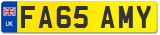 FA65 AMY