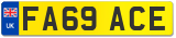 FA69 ACE