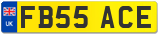 FB55 ACE