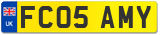 FC05 AMY