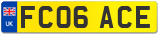 FC06 ACE