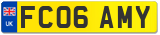 FC06 AMY