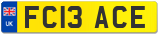 FC13 ACE